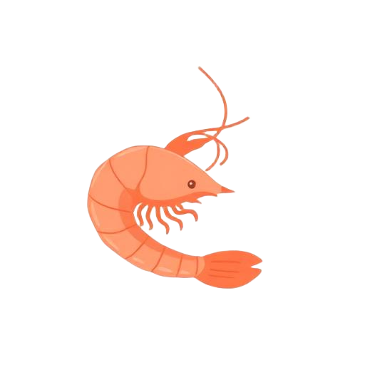 Udang